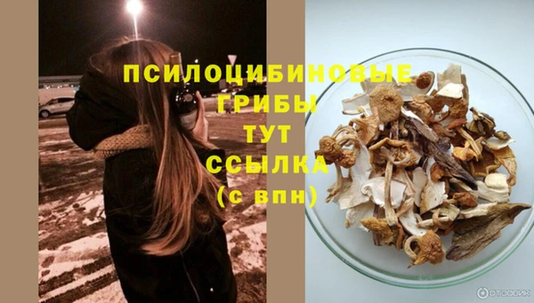МДМА Лагань