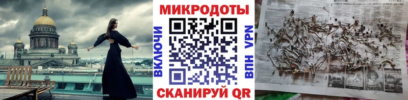 что такое   Свободный  Галлюциногенные грибы MAGIC MUSHROOMS 