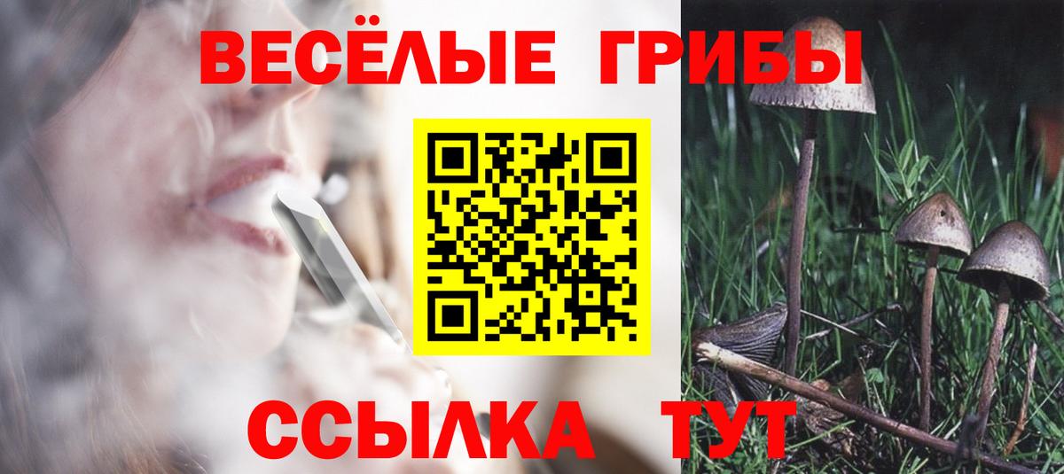 Галлюциногенные грибы прущие грибы Свободный