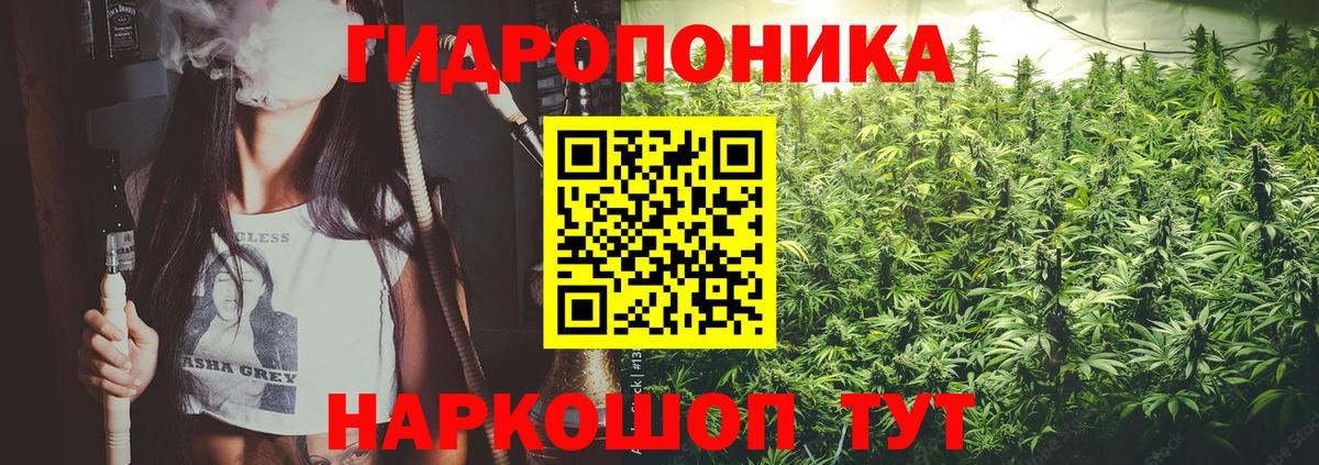 Бошки марихуана LSD WEED  Марихуана гибрид  Свободный  Вход с VPN 
